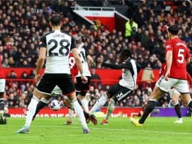 نتيجة مباراة مانشستر يونايتد وفولهام