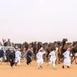 مهرجان الملك عبد العزيز