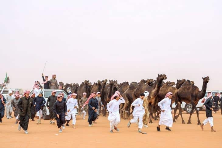 مهرجان الملك عبد العزيز