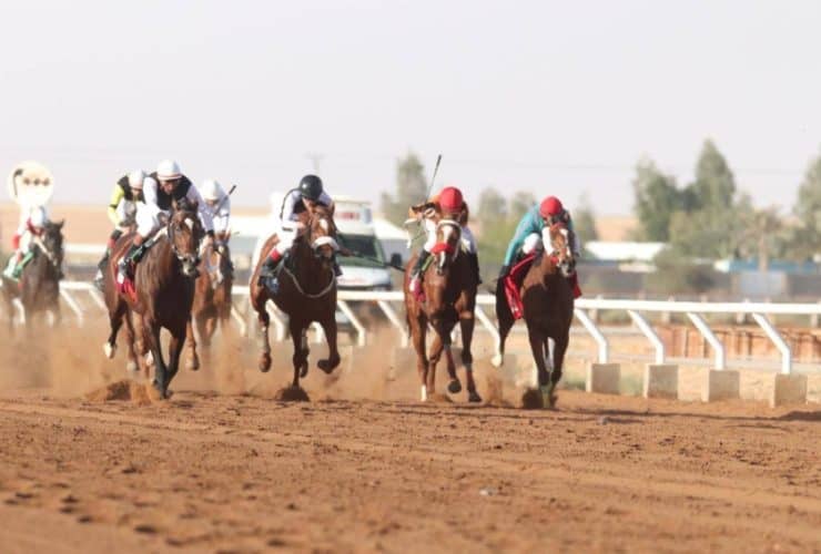 فروسية