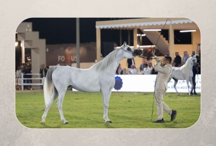 مهرجان الأمير سلطان العالمي للجواد العربي 2025