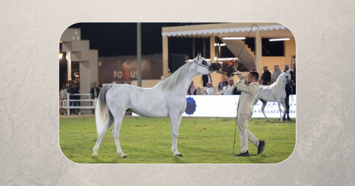 مهرجان الأمير سلطان العالمي للجواد العربي 2025