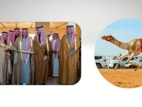 الهجن - سيف السعودية - مهرجان خادم الحرمين الشريفين للهجن