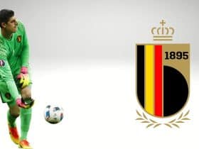 منتخب بلجيكا - تيبو كورتوا - كوين كاستيلس