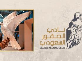 نادي الصقور السعودي - مهرجان الملك عبدالعزيز للصقور