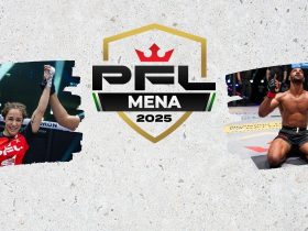 نهائيات رابطة المقاتلين المحترفين