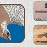 مهرجان الملك عبد العزيز للصقور (1)