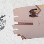 مهرجان الملك عبدالعزيز للصقور 2025