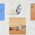 نادي الصقور السعودي - مهرجان الملك عبدالعزيز للصقور