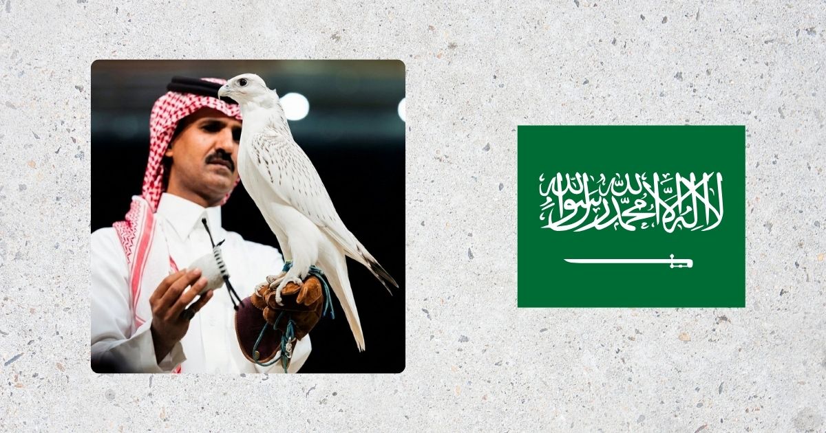 أغلى صقر في السعودي